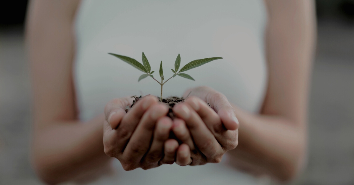 9 Ways How an Agile Manager Helps Grow a Team